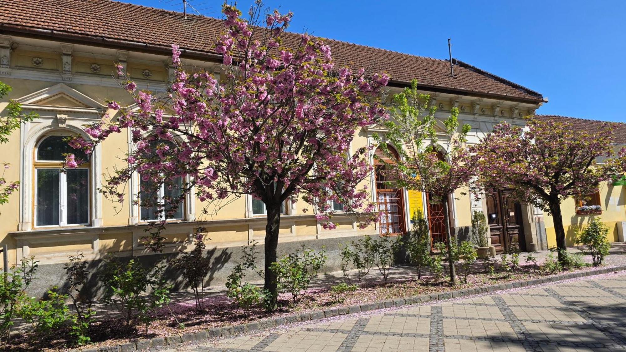 Nagymaros Apartman Apartmán