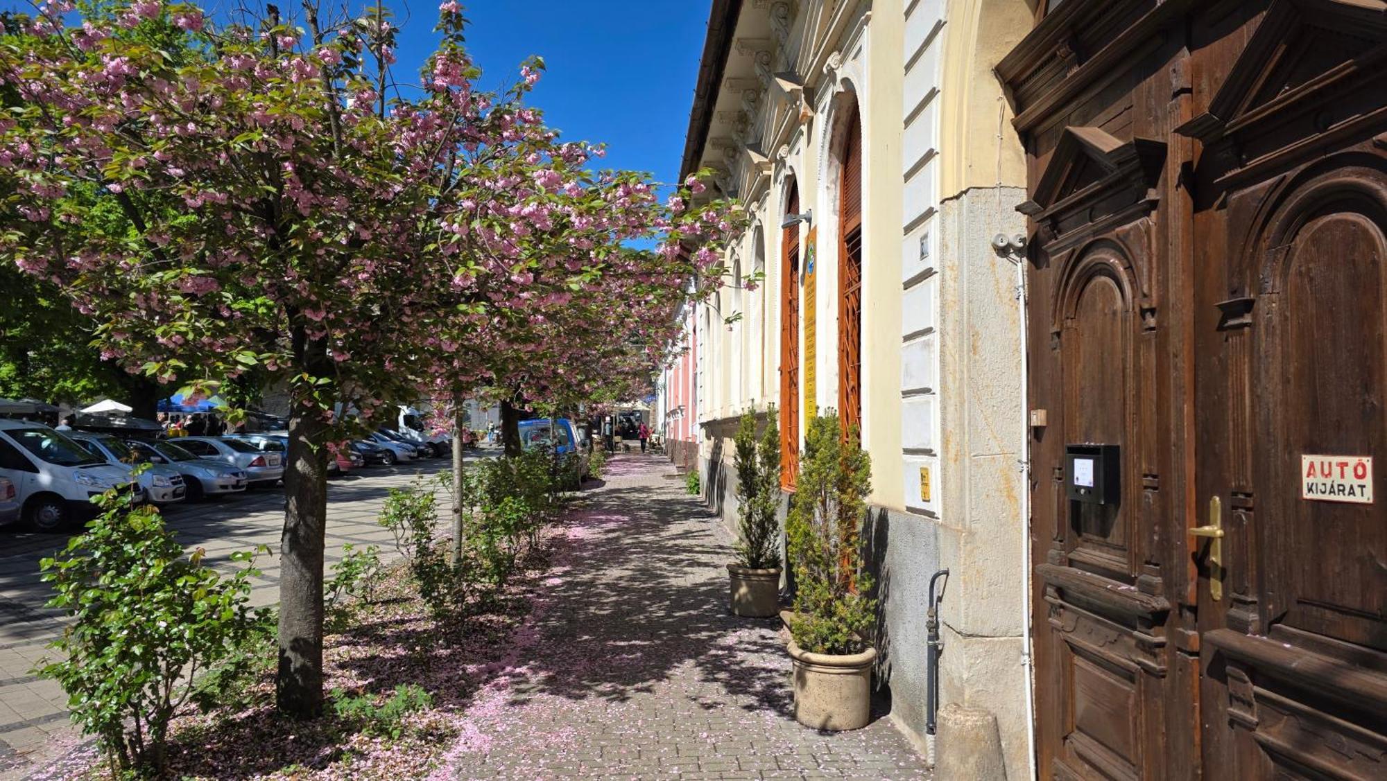 Nagymaros Apartman Apartmán *