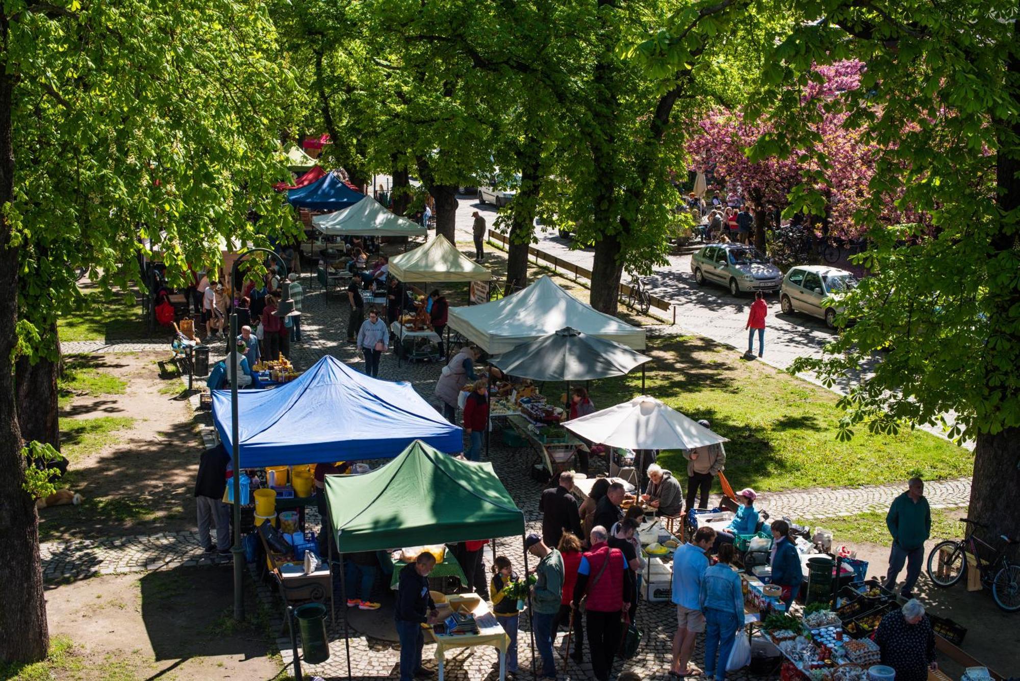 Apartmán Nagymaros Apartman *